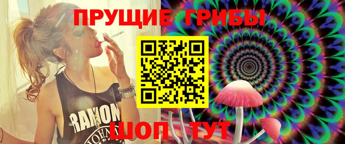 Псилоцибиновые грибы Psilocybe  Псилоцибиновые грибы MAGIC MUSHROOMS  Вход с VPN  Сальск 